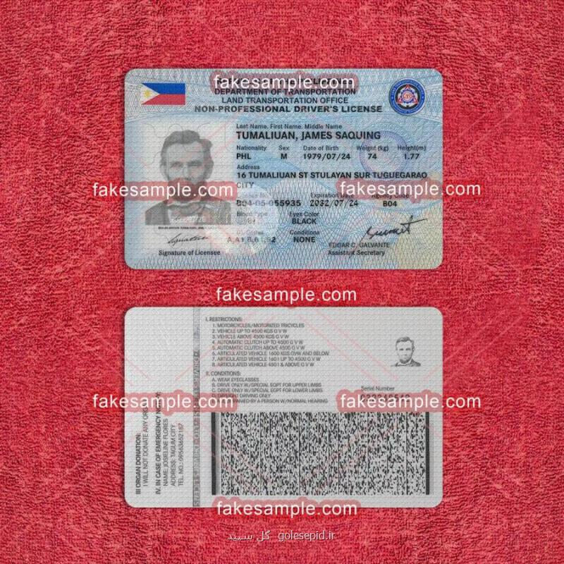 Philippines Driver license Fake Template