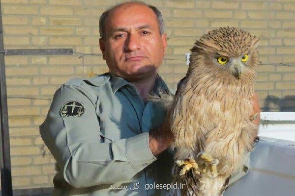 تشییع محیط بان شهید در بهبهان با حضور معاون رئیس جمهور