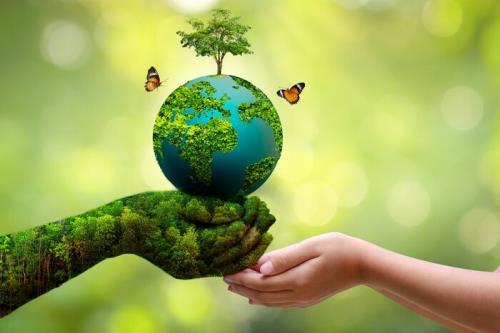 تجلیل از قضات دادگستری استان تهران بعنوان حامیان محیط زیست