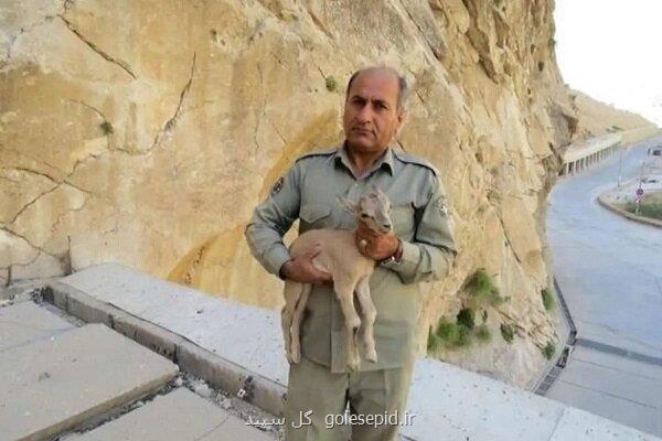 پیگیری پرونده شهید هدایت الله دیده بان با قوت ادامه دارد