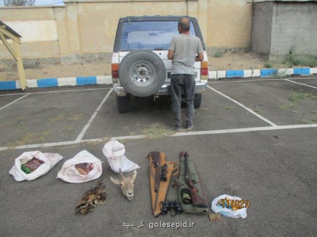 دستگیری شکارچی بدون مجوز در سمنان یک میش شکار شد