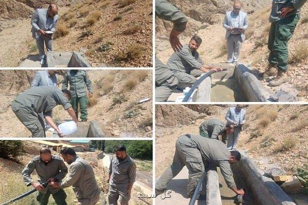 توزیع ۱۶۰ گالن ضدعفونی کننده برای جلوگیری از بیماری در حیات وحش تهران