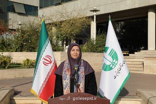 ارسال 35 خودروی عملیاتی به ادارات کل سازمان محیط زیست استانها