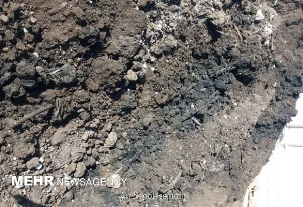 خاک های آلوده به مازوت در قمیشلو بزودی پاکسازی می شود