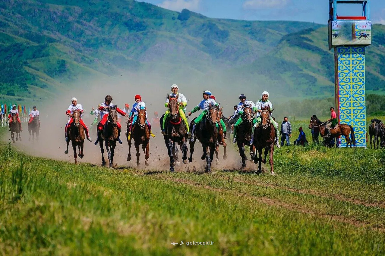 انسان چه زمانی سوار اسب شد؟