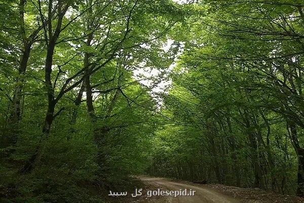اقدامات گسترده دفتر مدیریت زیستگاه ها در سال ۱۴۰۴
