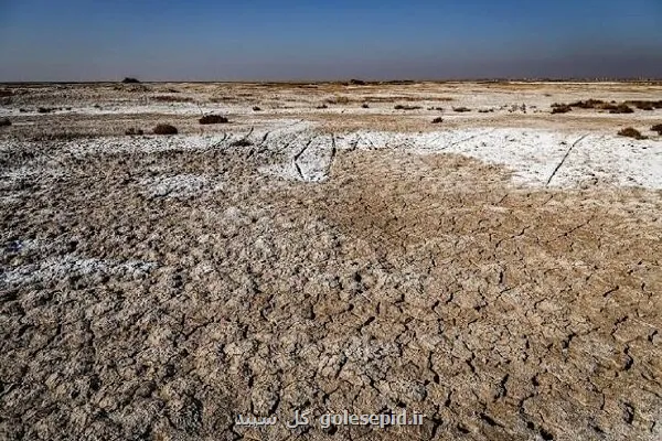 تالاب صالحیه در اولویت مهار گرد و غبار
