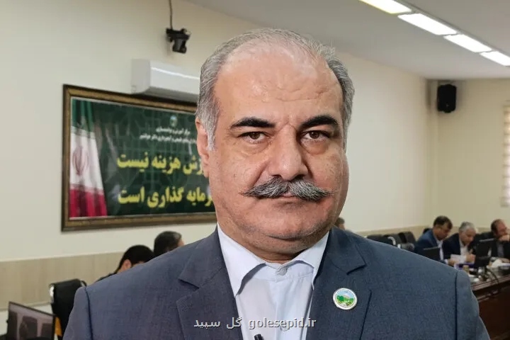 برداشت چوب از جنگلهای هیرکانی ممنوع ماند