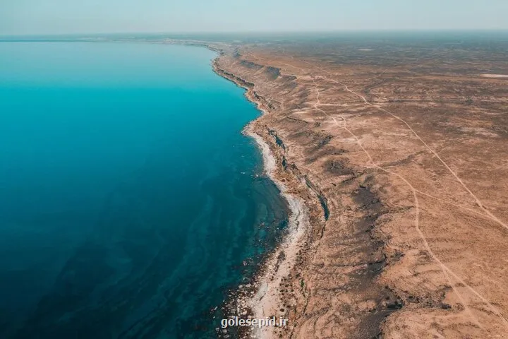 همکاری پنج کشور شرط نجات دریای خزر