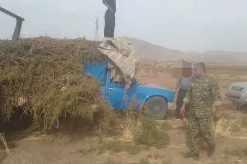 کشف محموله یک تنی در خرم آباد از ریشه های شیرین تا زخم تلخ بر تن طبیعت