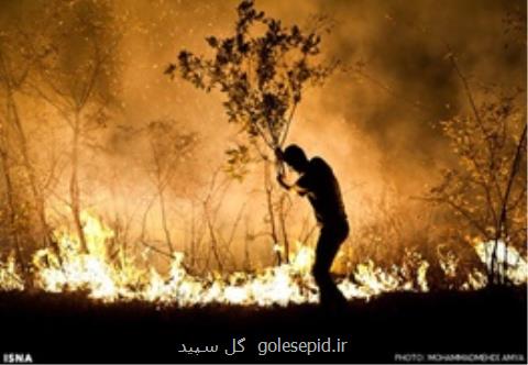 بخش اعظمی از آتش سوزی در جنگل های گیلان مهار گشت، گستره آتش از لاهیجان تا ماسال