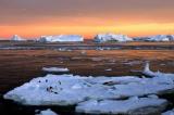 افزایش ۶ برابری سرعت آب شدن یخ های قطب جنوب
