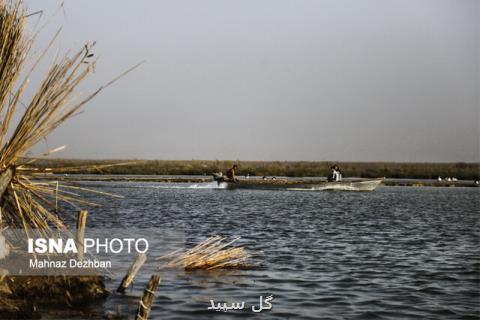 آبگیری كامل سه تالاب استان خوزستان