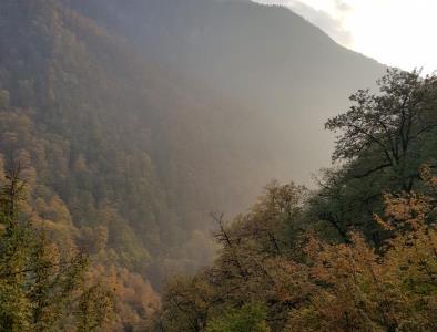 بومگردی در شمال