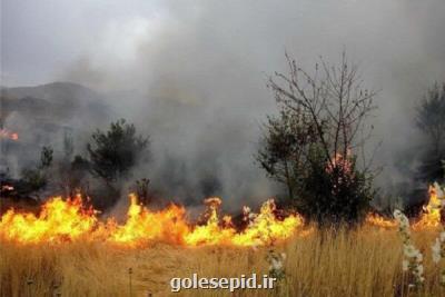 ۲ هكتار از جنگل پارك ملی دز در آتش سوخت