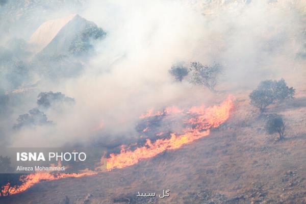 آتش روشن كردن علت 6 حریق اخیر در جنگل ها