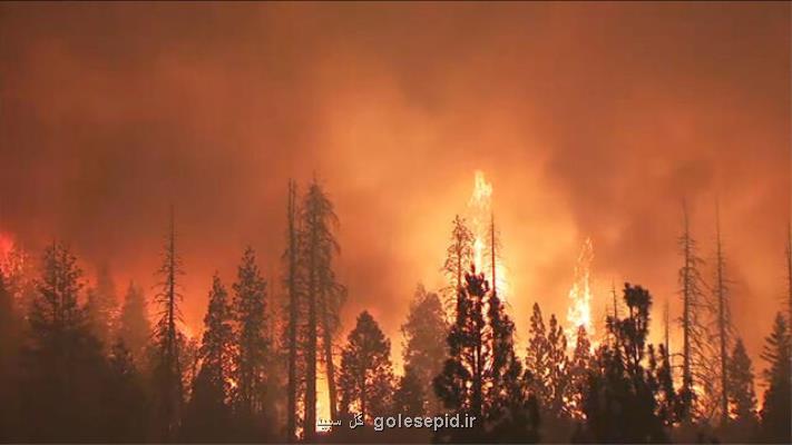 اعلام وضعیت اضطراری با ادامه آتش سوزی های جنگلی در كالیفرنیا