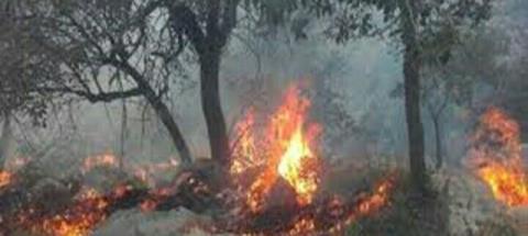 مهار آتش سوزی جنگل های دشتك شهرستان دنا