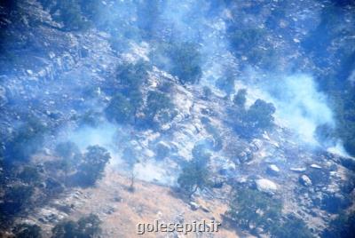 آتش سوزی جنگل ها در سه نقطه از كهگیلویه و بویراحمد ادامه دارد