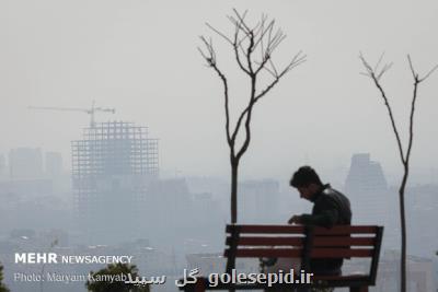 قائل شدن سهم عمده اتوبوس ها در آلودگی هوای تهران واقع بینانه نیست